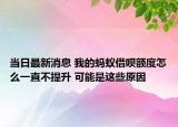 当日最新消息 我的蚂蚁借呗额度怎么一直不提升 可能是这些原因