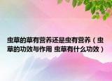 虫草的草有营养还是虫有营养（虫草的功效与作用 虫草有什么功效）