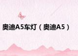 奥迪A5车灯（奥迪A5）