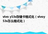 vivo y53s存储卡格式化（vivoy53s怎么格式化）