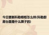 今日更新科勒橱柜怎么样(科勒厨房台面是什么牌子的)