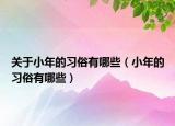 关于小年的习俗有哪些（小年的习俗有哪些）