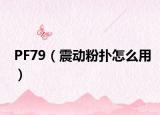 PF79（震动粉扑怎么用）