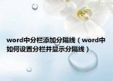 word中分栏添加分隔线（word中如何设置分栏并显示分隔线）