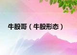 牛股哥（牛股形态）