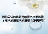 目前公认的最好用的蒸汽拖把品牌（蒸汽拖把蒸汽拖把哪个牌子好用）