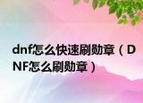 dnf怎么快速刷勋章（DNF怎么刷勋章）