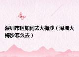 深圳市区如何去大梅沙（深圳大梅沙怎么去）