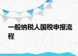 一般纳税人国税申报流程