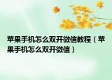 苹果手机怎么双开微信教程（苹果手机怎么双开微信）