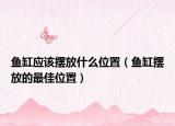 鱼缸应该摆放什么位置（鱼缸摆放的最佳位置）