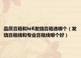 品质音箱和hifi发烧音箱选哪个（发烧音箱线和专业音箱线哪个好）