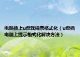 电脑插上u盘就提示格式化（u盘插电脑上提示格式化解决方法）