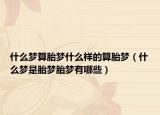 什么梦算胎梦什么样的算胎梦（什么梦是胎梦胎梦有哪些）