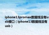 iphone13promax数据线没有usb接口（iphone13数据线没有usb）
