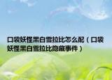 口袋妖怪黑白雪拉比怎么配（口袋妖怪黑白雪拉比隐藏事件）