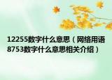 12255数字什么意思（网络用语8753数字什么意思相关介绍）