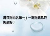 哪只狗排名第一（一窝狗第几只狗最好）