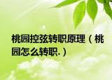 桃园控弦转职原理（桃园怎么转职.）