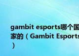 gambit esports哪个国家的（Gambit Esports）
