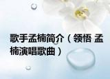 歌手孟楠简介（领悟 孟楠演唱歌曲）