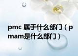 pmc 属于什么部门（pmam是什么部门）