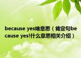 because yes啥意思（肯定句because yes!什么意思相关介绍）