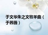 于文华朱之文牧羊曲（于茜薇）