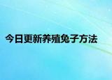 今日更新养殖兔子方法