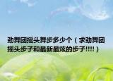 劲舞团摇头舞步多少个（求劲舞团摇头步子和最新最炫的步子!!!!）