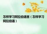 怎样学习阿拉伯语言（怎样学习阿拉伯语）