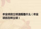农业项目立项流程是什么（农业项目怎样立项）