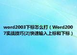 word2003下标怎么打（Word2007实战技巧[2]快速输入上标和下标）