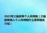 2022年三胎政策个人所得税（三胎政策纳入个人所得税什么意思相关介绍）