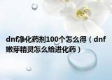 dnf净化药剂100个怎么得（dnf嫩芽精灵怎么给进化药）
