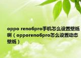 oppo reno6pro手机怎么设置壁纸啊（opporeno6pro怎么设置动态壁纸）