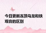 今日更新冻顶乌龙和铁观音的区别