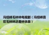 冯绍峰毛林林电视剧（冯绍峰喜欢毛林林还是林依晨）