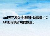 cad天正怎么快速统计块数量（CAD如何统计块的数量）