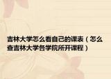 吉林大学怎么看自己的课表（怎么查吉林大学各学院所开课程）