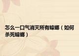 怎么一口气消灭所有蟑螂（如何杀死蟑螂）