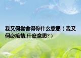 我又何尝舍得你什么意思（我又何必痴情,什麽意思?）