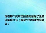 现在那个托尔巴拉德奖章除了坐骑还能换什么（我是个牧师能换装备么）