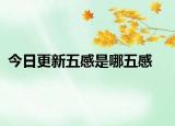 今日更新五感是哪五感