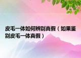 皮毛一体如何辨别真假（如果鉴别皮毛一体真假）
