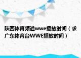 陕西体育频道wwe播放时间（求广东体育台WWE播放时间）