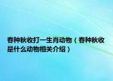 春种秋收打一生肖动物（春种秋收是什么动物相关介绍）