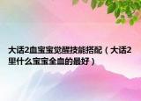 大话2血宝宝觉醒技能搭配（大话2里什么宝宝全血的最好）