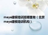 maya建模培训班哪里有（北京maya建模培训机构）