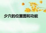 少穴的位置图和功能